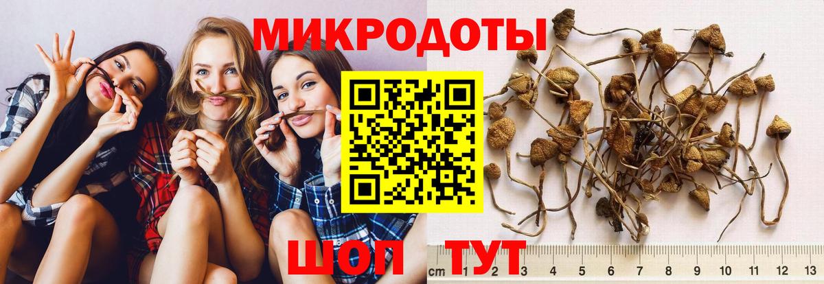 Галлюциногенные грибы прущие грибы  Вход с VPN  Кумертау 