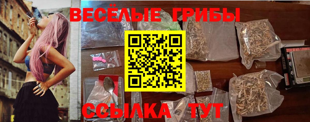 Псилоцибиновые грибы Psilocybine cubensis Кумертау